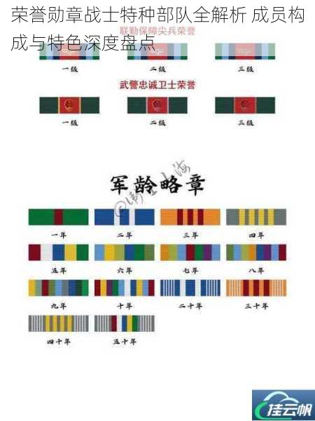 荣誉勋章战士特种部队全解析 成员构成与特色深度盘点