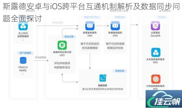 斯露德安卓与iOS跨平台互通机制解析及数据同步问题全面探讨