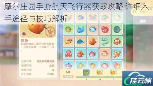 摩尔庄园手游航天飞行器获取攻略 详细入手途径与技巧解析
