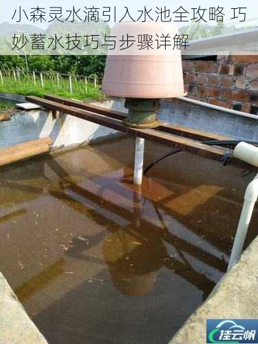 小森灵水滴引入水池全攻略 巧妙蓄水技巧与步骤详解