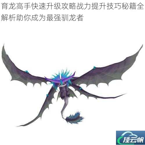 育龙高手快速升级攻略战力提升技巧秘籍全解析助你成为最强驯龙者