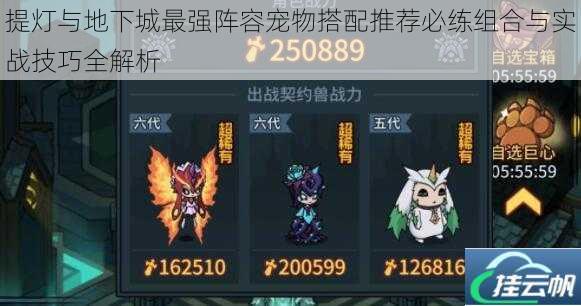 提灯与地下城最强阵容宠物搭配推荐必练组合与实战技巧全解析