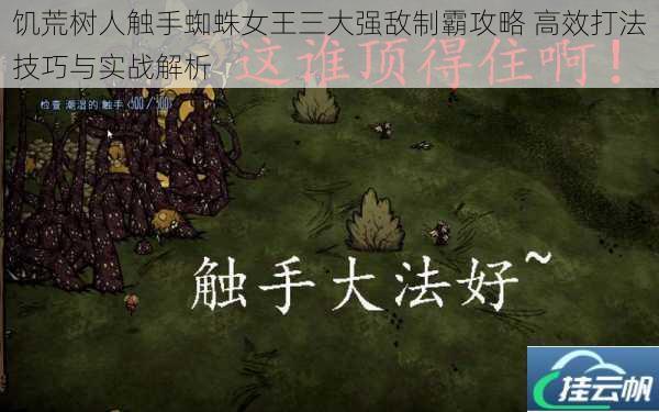 饥荒树人触手蜘蛛女王三大强敌制霸攻略 高效打法技巧与实战解析