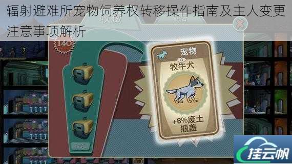 辐射避难所宠物饲养权转移操作指南及主人变更注意事项解析