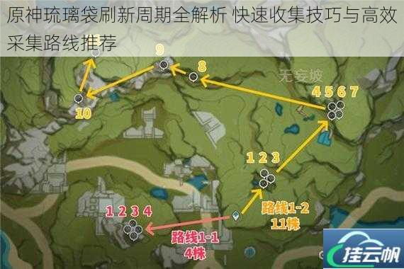 原神琉璃袋刷新周期全解析 快速收集技巧与高效采集路线推荐