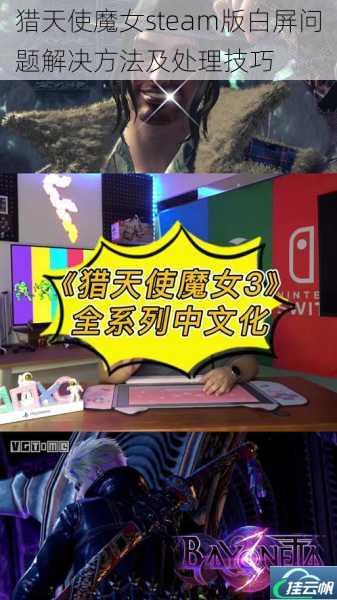 猎天使魔女steam版白屏问题解决方法及处理技巧