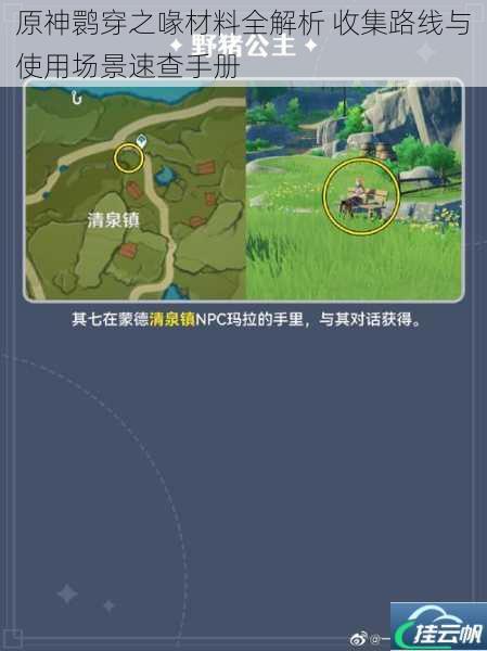 原神鹮穿之喙材料全解析 收集路线与使用场景速查手册