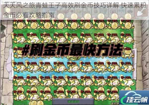 天天风之旅青蛙王子高效刷金币技巧详解 快速累积金币必看攻略指南