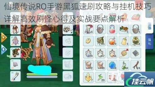 仙境传说RO手游黑狐速刷攻略与挂机技巧详解高效刷怪心得及实战要点解析