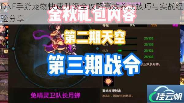 DNF手游宠物快速升级全攻略高效养成技巧与实战经验分享