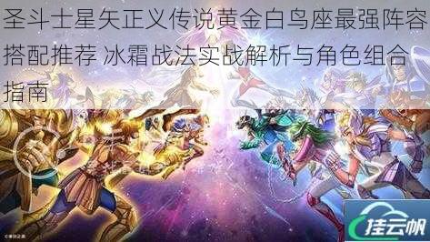 圣斗士星矢正义传说黄金白鸟座最强阵容搭配推荐 冰霜战法实战解析与角色组合指南