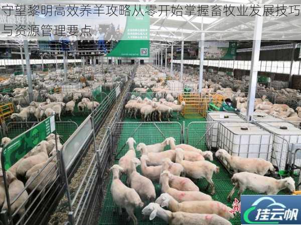 守望黎明高效养羊攻略从零开始掌握畜牧业发展技巧与资源管理要点