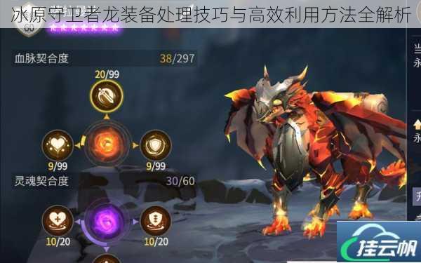 冰原守卫者龙装备处理技巧与高效利用方法全解析