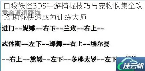 口袋妖怪3DS手游捕捉技巧与宠物收集全攻略 助你快速成为训练大师