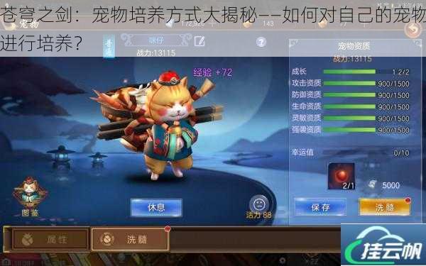 苍穹之剑:宠物培养方式大揭秘——如何对自己的宠物进行培养?