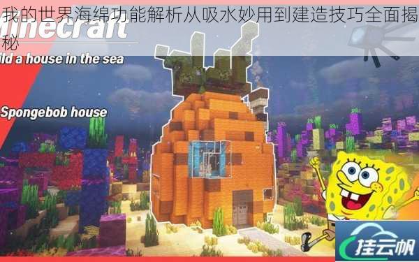我的世界海绵功能解析从吸水妙用到建造技巧全面揭秘