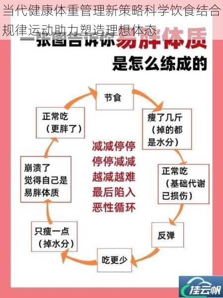 当代健康体重管理新策略科学饮食结合规律运动助力塑造理想体态
