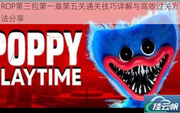 ROP第三包第一章第五关通关技巧详解与高效过关方法分享