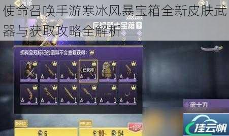 使命召唤手游寒冰风暴宝箱全新皮肤武器与获取攻略全解析