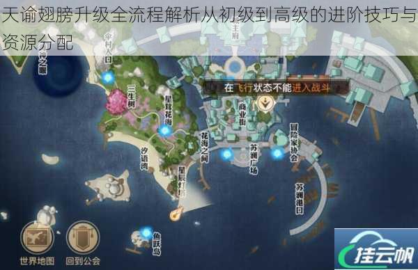 天谕翅膀升级全流程解析从初级到高级的进阶技巧与资源分配