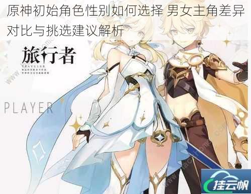 原神初始角色性别如何选择 男女主角差异对比与挑选建议解析
