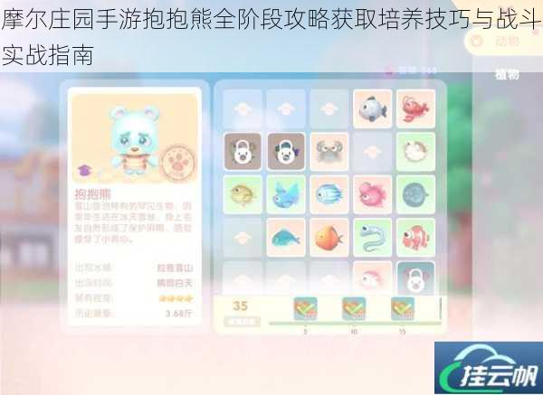 摩尔庄园手游抱抱熊全阶段攻略获取培养技巧与战斗实战指南
