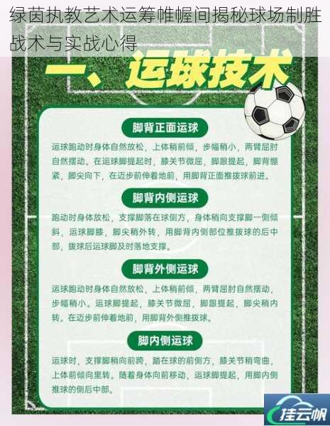 绿茵执教艺术运筹帷幄间揭秘球场制胜战术与实战心得