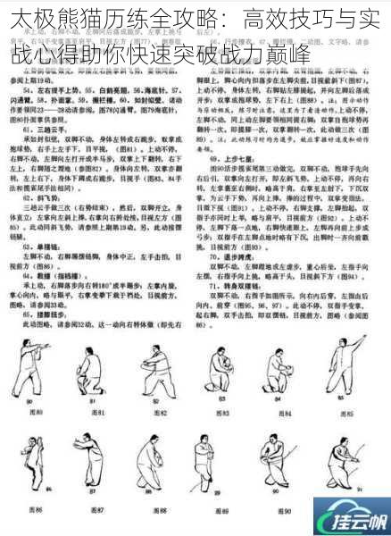 太极熊猫历练全攻略:高效技巧与实战心得助你快速突破战力巅峰
