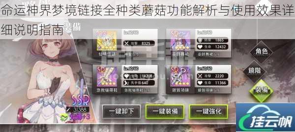 命运神界梦境链接全种类蘑菇功能解析与使用效果详细说明指南
