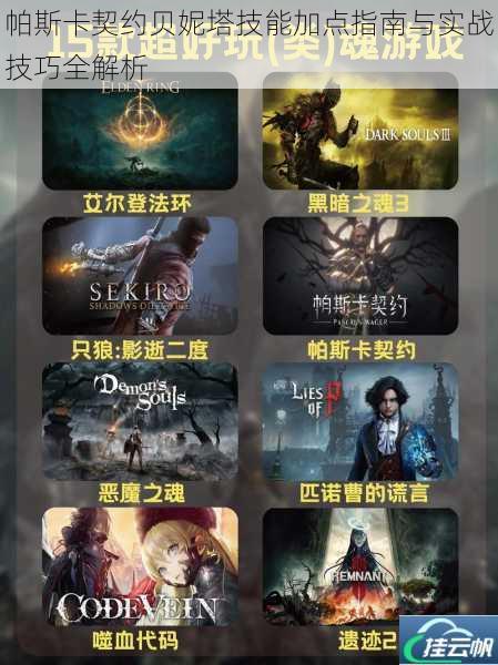 帕斯卡契约贝妮塔技能加点指南与实战技巧全解析