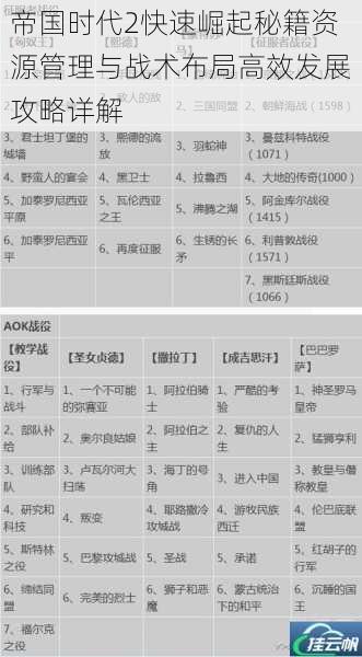 帝国时代2快速崛起秘籍资源管理与战术布局高效发展攻略详解