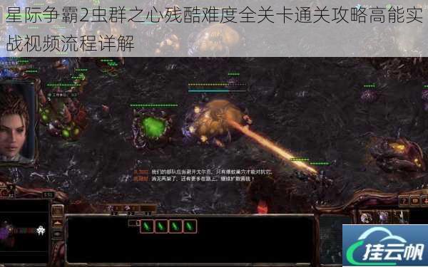 星际争霸2虫群之心残酷难度全关卡通关攻略高能实战视频流程详解