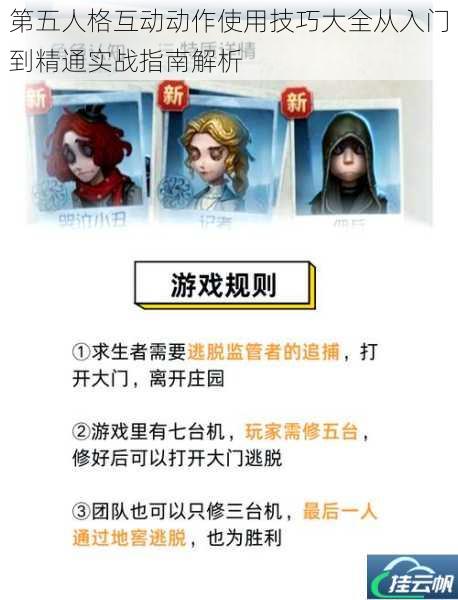 第五人格互动动作使用技巧大全从入门到精通实战指南解析