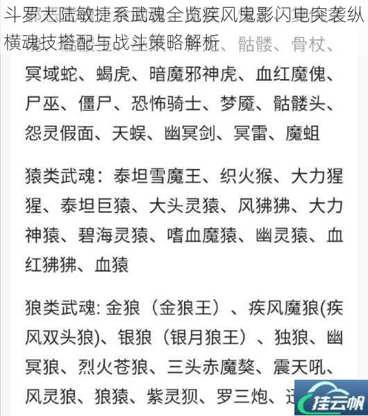 斗罗大陆敏捷系武魂全览疾风鬼影闪电突袭纵横魂技搭配与战斗策略解析