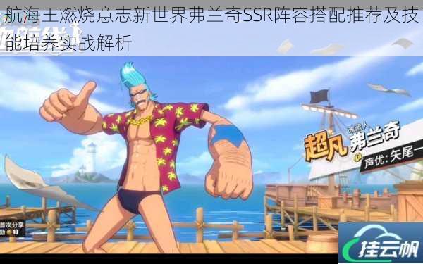 航海王燃烧意志新世界弗兰奇SSR阵容搭配推荐及技能培养实战解析