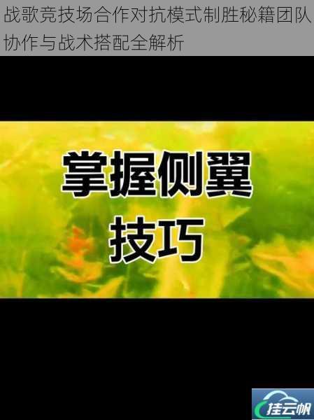 战歌竞技场合作对抗模式制胜秘籍团队协作与战术搭配全解析