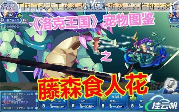 洛克王国百战大王花实战强度解析及培养性价比探讨