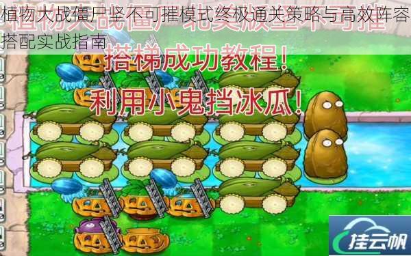植物大战僵尸坚不可摧模式终极通关策略与高效阵容搭配实战指南