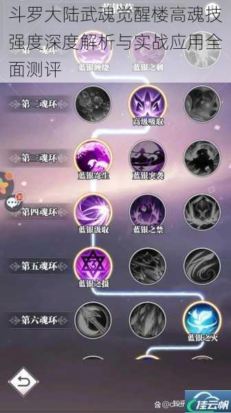 斗罗大陆武魂觉醒楼高魂技强度深度解析与实战应用全面测评
