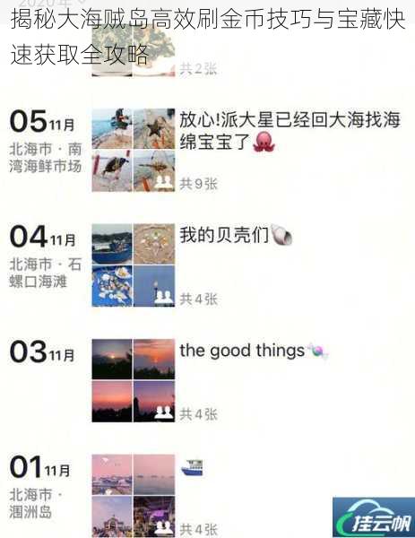 揭秘大海贼岛高效刷金币技巧与宝藏快速获取全攻略