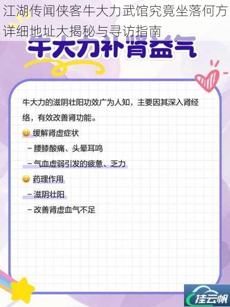 江湖传闻侠客牛大力武馆究竟坐落何方详细地址大揭秘与寻访指南