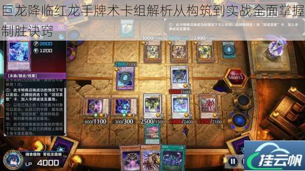 巨龙降临红龙手牌术卡组解析从构筑到实战全面掌握制胜诀窍