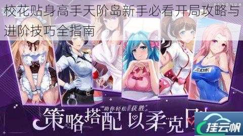 校花贴身高手天阶岛新手必看开局攻略与进阶技巧全指南
