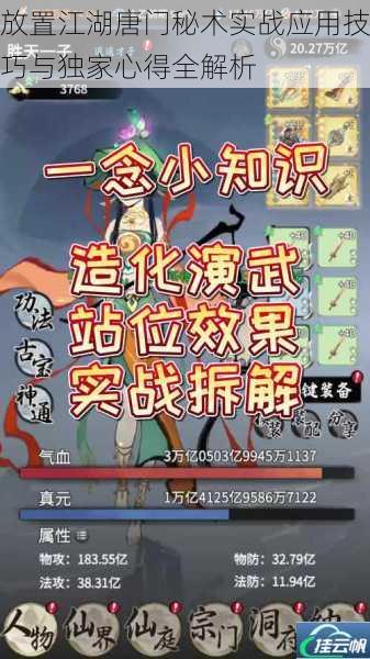 放置江湖唐门秘术实战应用技巧与独家心得全解析