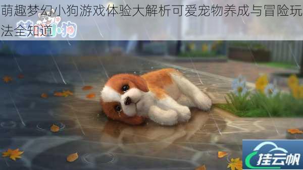 萌趣梦幻小狗游戏体验大解析可爱宠物养成与冒险玩法全知道