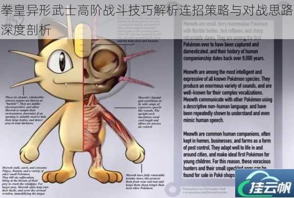 拳皇异形武士高阶战斗技巧解析连招策略与对战思路深度剖析
