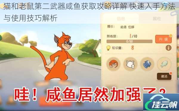 猫和老鼠第二武器咸鱼获取攻略详解 快速入手方法与使用技巧解析