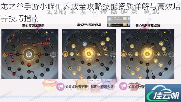 龙之谷手游小喵仙养成全攻略技能资质详解与高效培养技巧指南