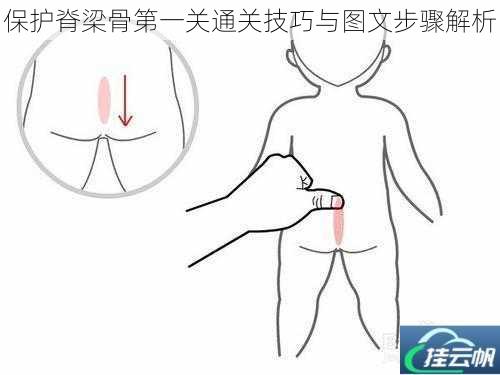 保护脊梁骨第一关通关技巧与图文步骤解析