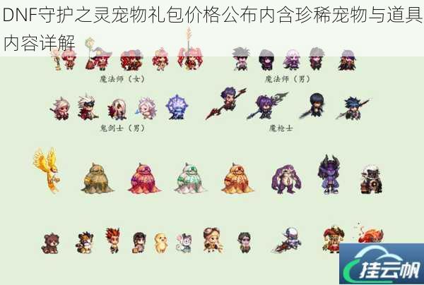 DNF守护之灵宠物礼包价格公布内含珍稀宠物与道具内容详解